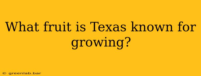 What fruit is Texas known for growing?