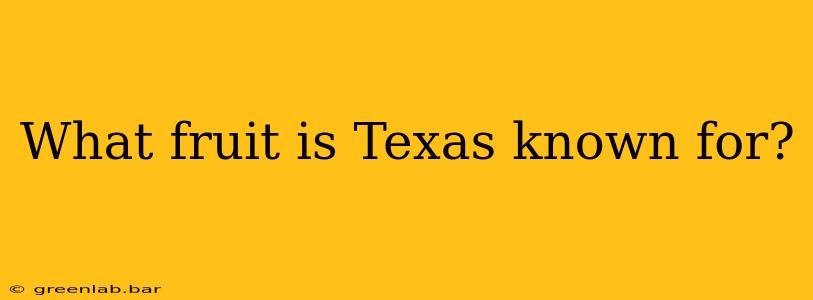 What fruit is Texas known for?