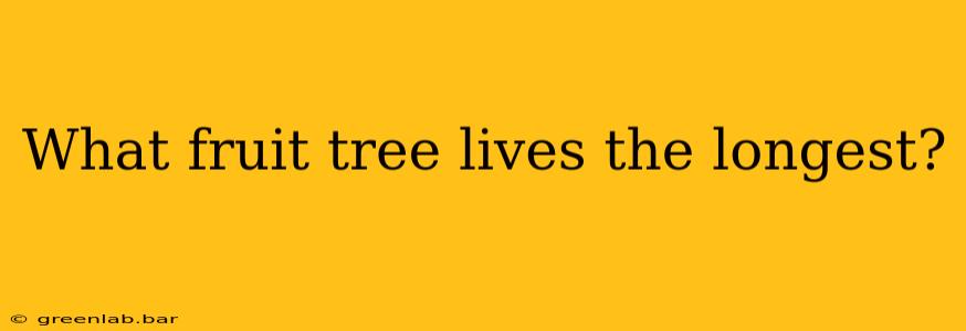 What fruit tree lives the longest?