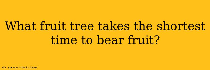 What fruit tree takes the shortest time to bear fruit?