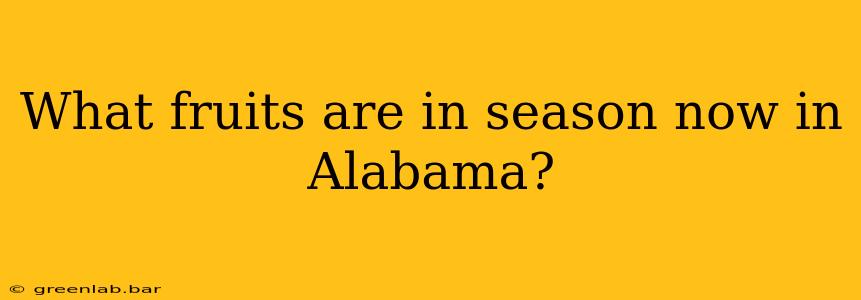 What fruits are in season now in Alabama?