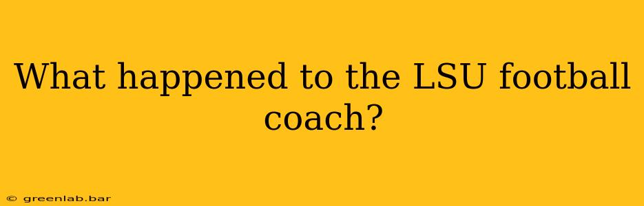 What happened to the LSU football coach?