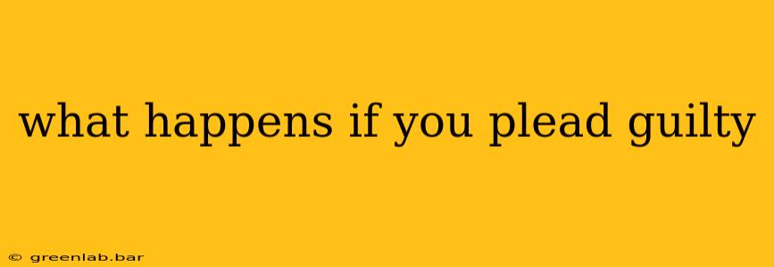 what happens if you plead guilty