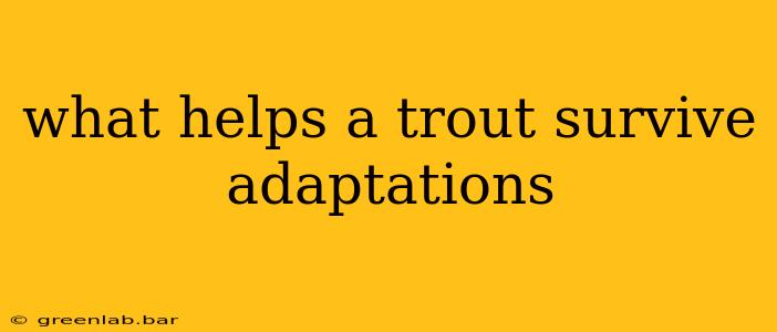 what helps a trout survive adaptations