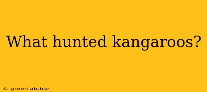 What hunted kangaroos?