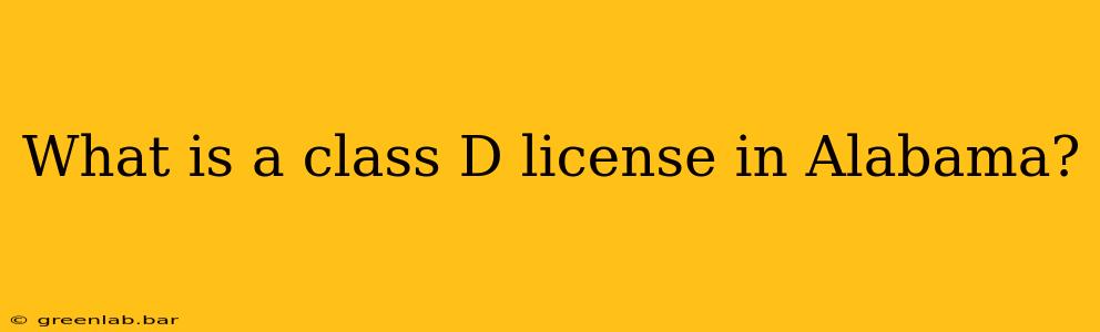 What is a class D license in Alabama?