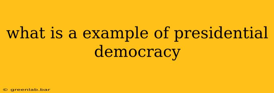 what is a example of presidential democracy