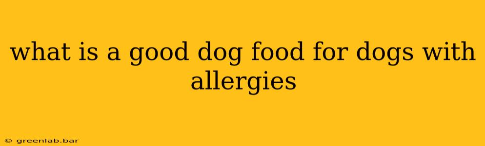 what is a good dog food for dogs with allergies