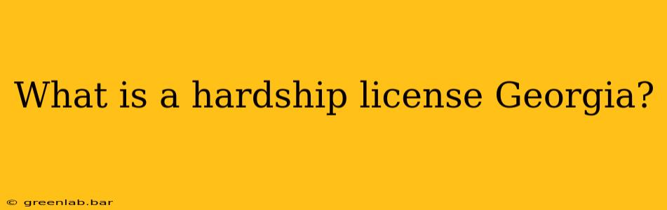 What is a hardship license Georgia?