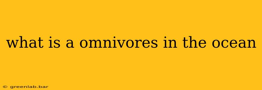 what is a omnivores in the ocean