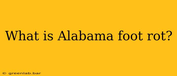 What is Alabama foot rot?