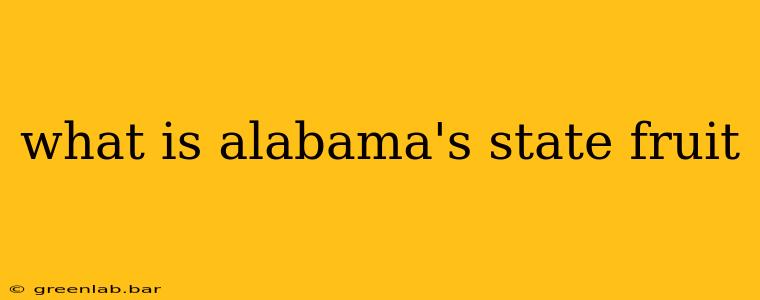 what is alabama's state fruit