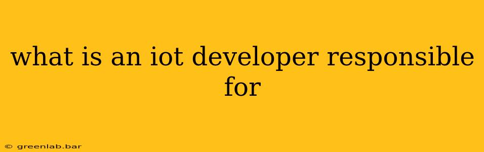 what is an iot developer responsible for