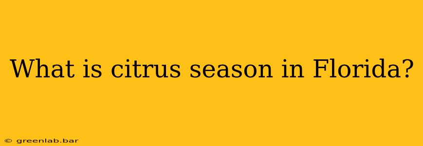 What is citrus season in Florida?