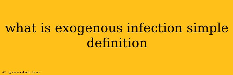 what is exogenous infection simple definition