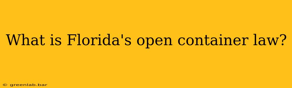 What is Florida's open container law?