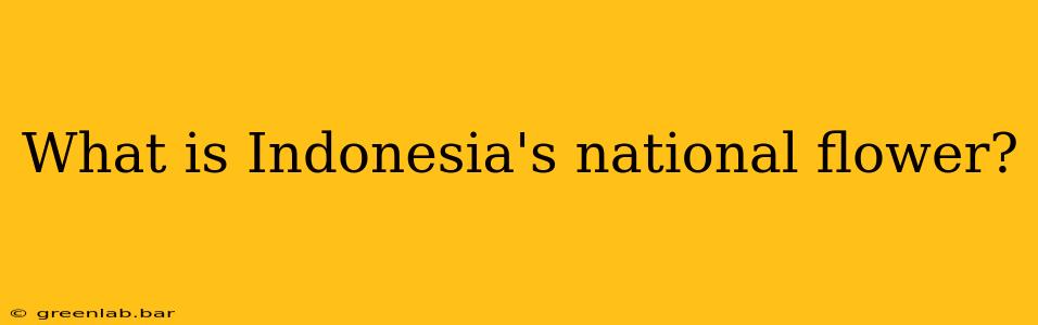 What is Indonesia's national flower?