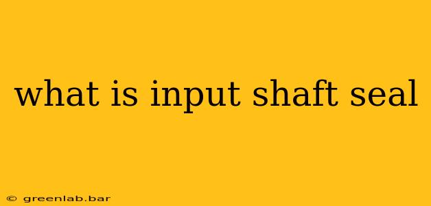 what is input shaft seal