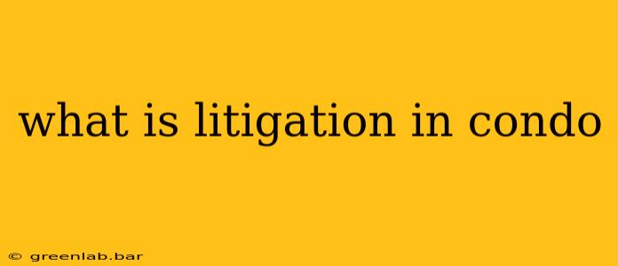 what is litigation in condo