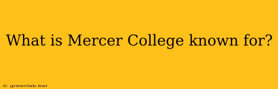 What is Mercer College known for?