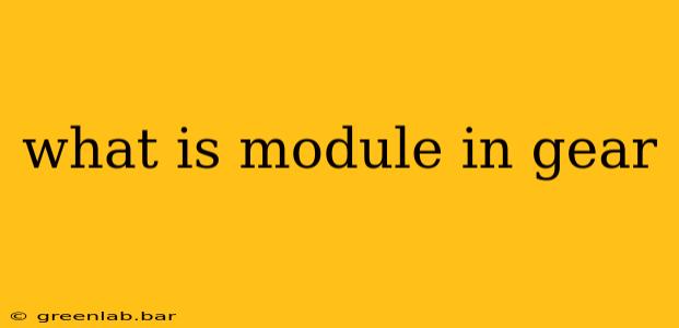 what is module in gear