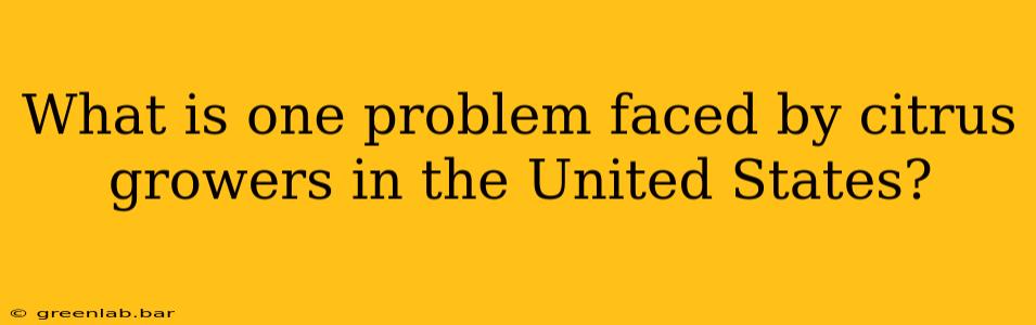 What is one problem faced by citrus growers in the United States?