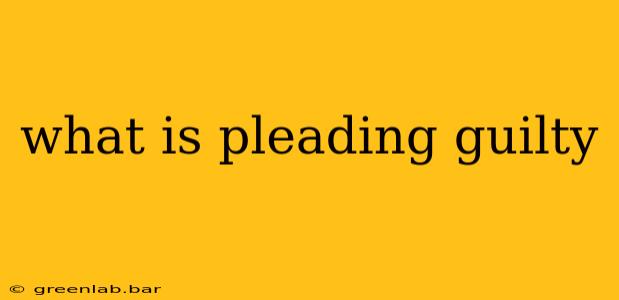 what is pleading guilty