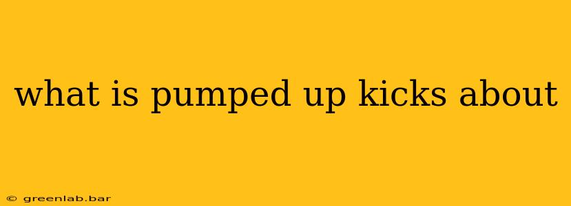 what is pumped up kicks about