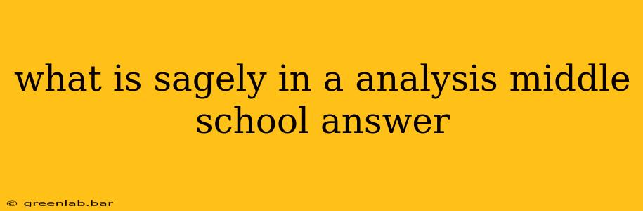 what is sagely in a analysis middle school answer