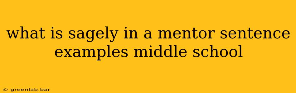 what is sagely in a mentor sentence examples middle school