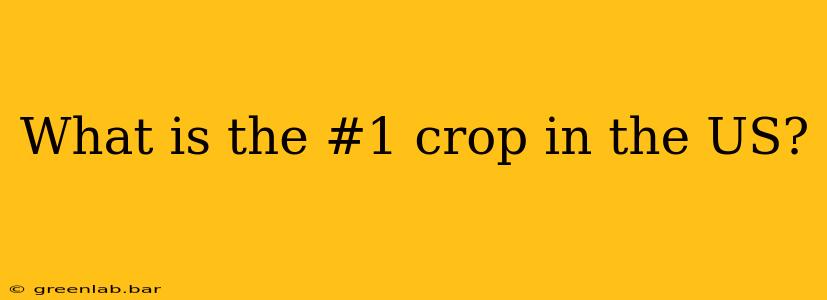 What is the #1 crop in the US?