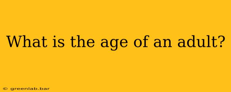 What is the age of an adult?