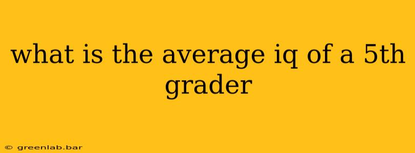 what is the average iq of a 5th grader