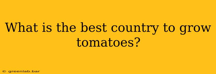 What is the best country to grow tomatoes?