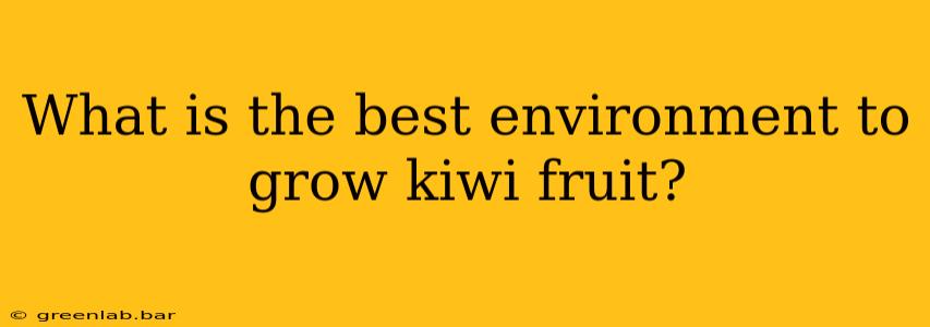 What is the best environment to grow kiwi fruit?