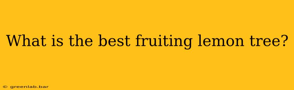 What is the best fruiting lemon tree?