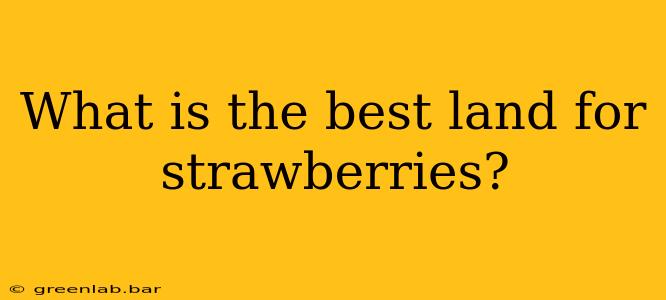 What is the best land for strawberries?