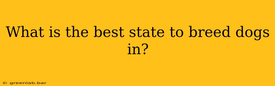 What is the best state to breed dogs in?