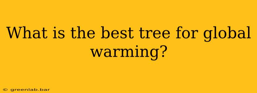 What is the best tree for global warming?