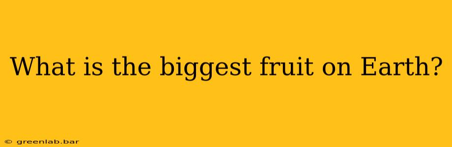 What is the biggest fruit on Earth?