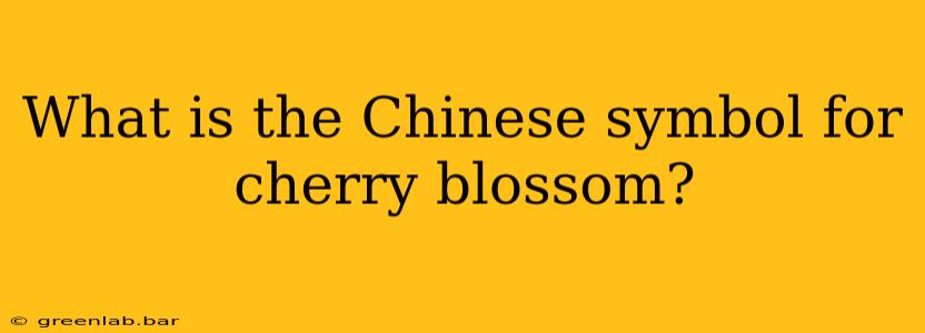 What is the Chinese symbol for cherry blossom?