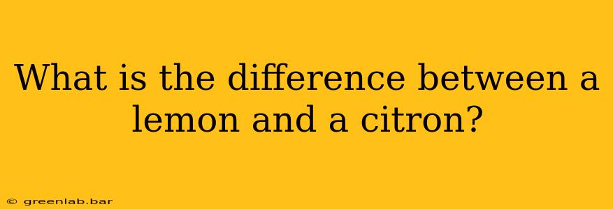 What is the difference between a lemon and a citron?