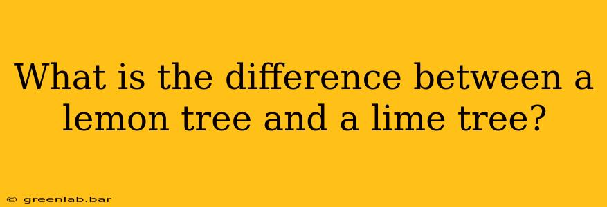 What is the difference between a lemon tree and a lime tree?