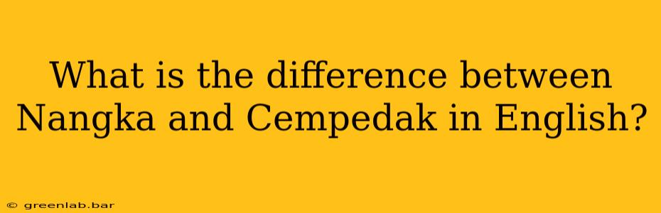 What is the difference between Nangka and Cempedak in English?