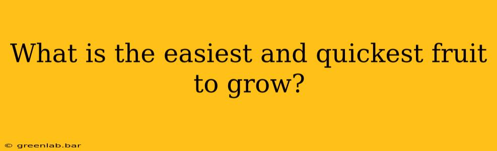 What is the easiest and quickest fruit to grow?