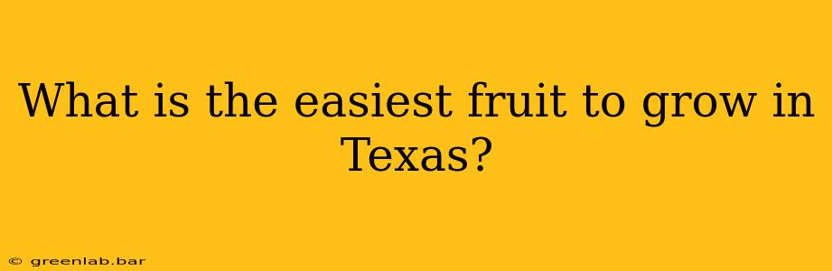 What is the easiest fruit to grow in Texas?