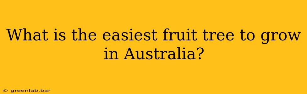 What is the easiest fruit tree to grow in Australia?