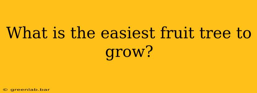 What is the easiest fruit tree to grow?