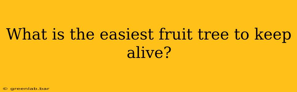 What is the easiest fruit tree to keep alive?