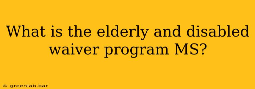 What is the elderly and disabled waiver program MS?